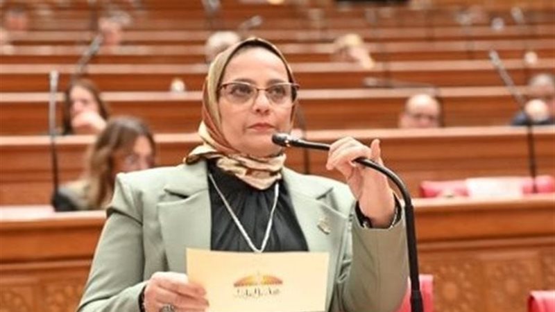 النائبة نجلاء العسيلي