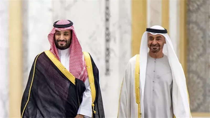 الرئيس الإماراتي