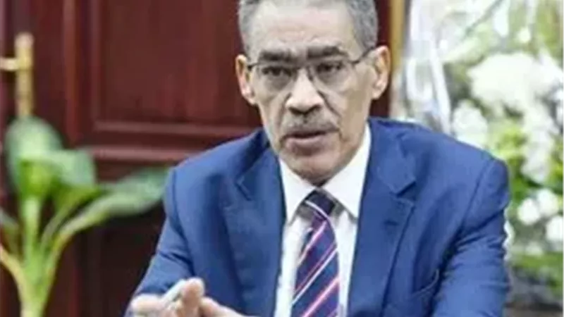 ضياء رشوان 