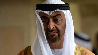 محمد بن زايد : الإمارات بخير لكن يدها غليظة ولحمها مر