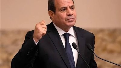 الرئيس السيسي: الأمن القومي لدول الخليج العربي يعد امتدادًا للأمن القومي المصري
