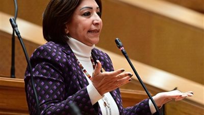مها عبد الناصر: تطوير الطرق لا يجب أن يكون على حساب البيئة.. وإزالة الأشجار المعمرة يجب أن تكون الاستثناء الأخير