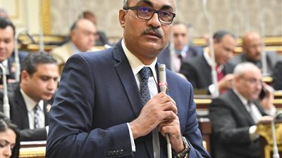 حذف 2.9 مليون مواطن من الدعم التمويني خلال 6 سنوات.. برلماني يوضح