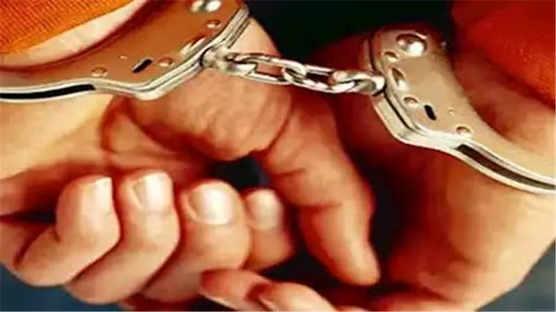 ضبط لص سرق هاتف محمول في الإسكندرية بعد تداول فيديو بحقيبة سيدة بالمنتزة