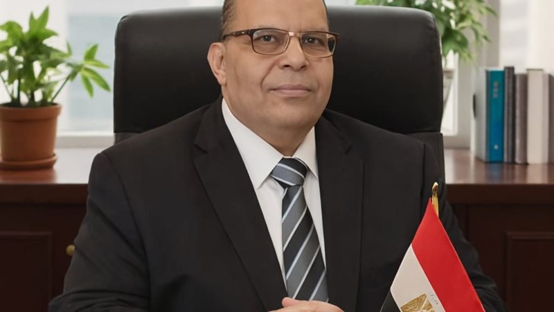 عمرو الفارسي، مساعد