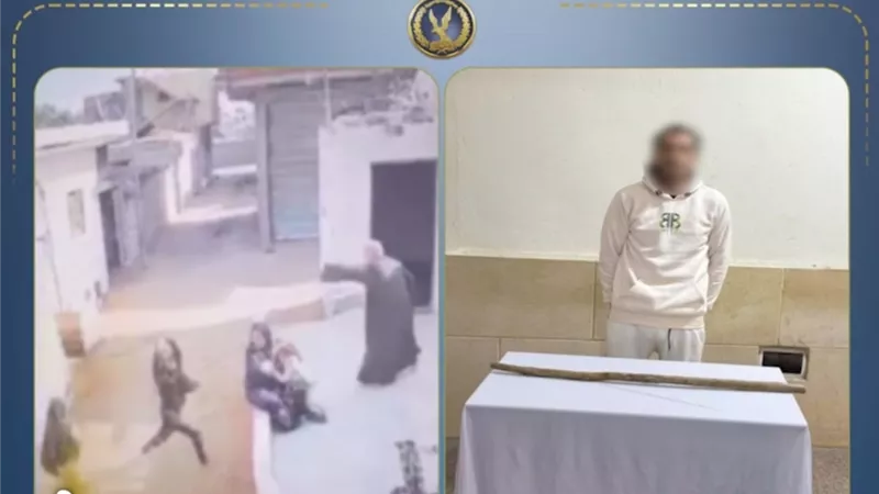 بسبب خلافات الجيرة.. ضبط عامل تعدى على ربة منزل بالضرب بالشرقية