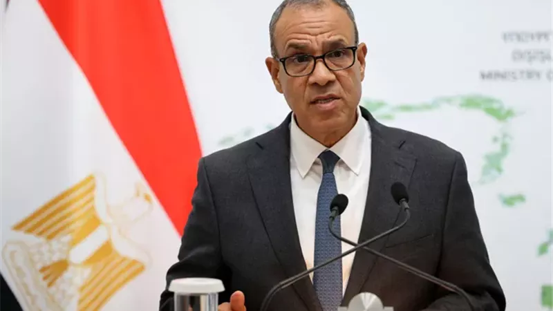وزير الخارجية المصري