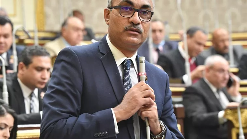 برلماني يفتح النار: ملف المحليات حبيس الأدراج منذ 13 عاماً