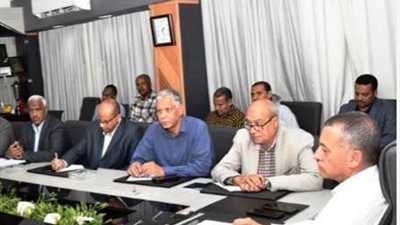 استعداداً لفصل الصيف.. محافظ أسوان يوجه لوضع الحلول الفنية لإنتظام التيار الكهربائي 