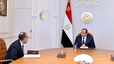 الرئيس السيسي يستعرض نتائج جولة وزير الخارجية العربية ويؤكد: أمن الخليج خط أحمر