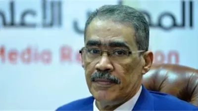 ضياء رشوان: علاقات مصر مع دول الخليج راسخة ولا تتأثر بضجيج السوشيال ميديا