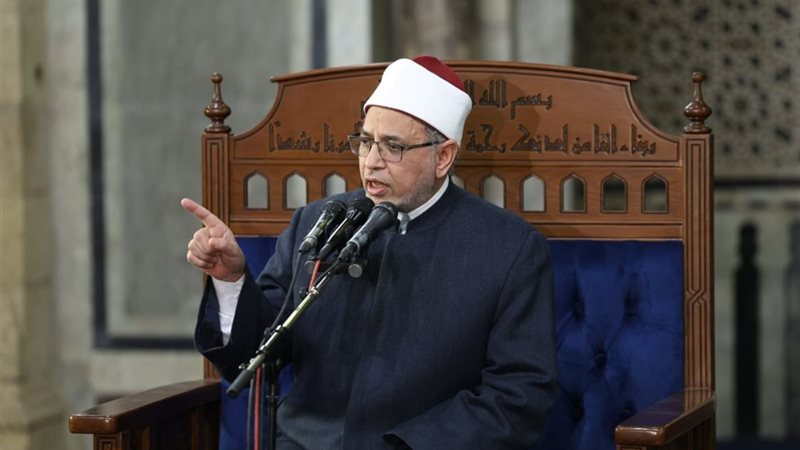 الأستاذ الدكتور سلامة