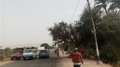 فرق الطوارئ بسوهاج تنجح في التعامل مع سقوط أعمدة كهرباء وأشجار خلال تقلبات الطقس