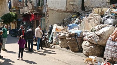 حملات مكثفة في أحياء الإسكندرية لمواجهة “الفريزة” والنباشين ورفع كفاءة الشوارع