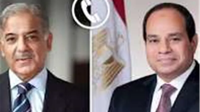 السيسي يتلقى اتصالًا من رئيس وزراء باكستان لتهنئته بعيد الفطر 