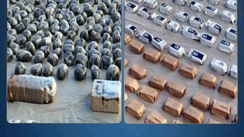 المضبوطات