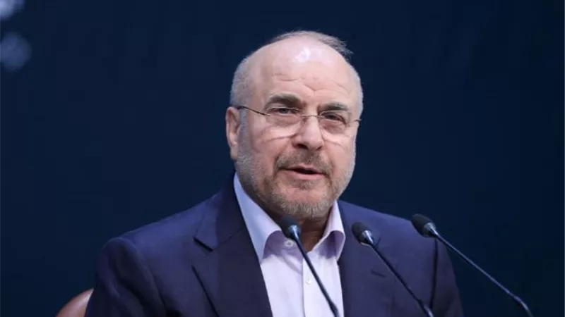 رئيس البرلمان الإيراني: لا تختبروا قدرتنا على الدفاع عن أراضينا