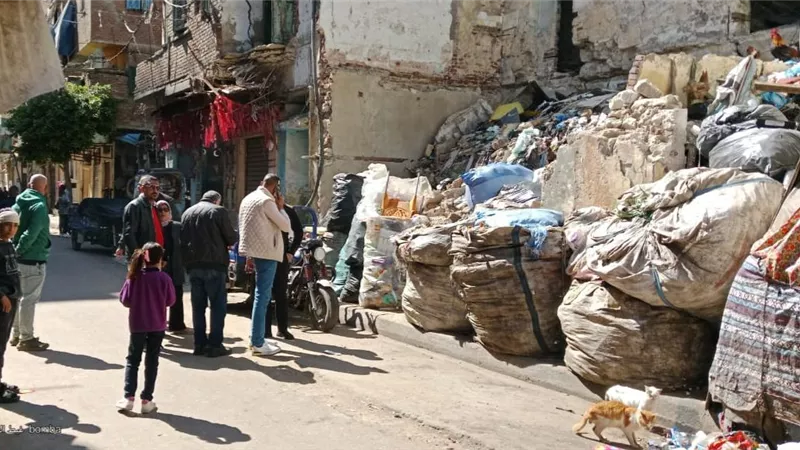 حملات مكثفة في أحياء الإسكندرية لمواجهة “الفريزة” والنباشين ورفع كفاءة الشوارع
