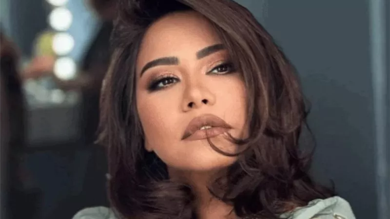 تغريم المتهم بالاستيلاء على صفحات الفنانة شيرين عبد الوهاب 50 ألف جنيه
