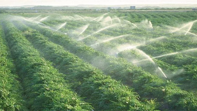 خفض المبيدات 50% بحلول 2030 يفتح نقاشاً ساخناً تحت القبة.. ومطالب بالرقابة وضبط الأسواق 