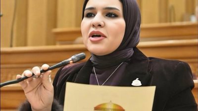النائبة راوية مختار: أرفض أن تتحمل الدولة و المواطن أزمات اقتصادية إضافية