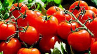 نقيب الفلاحين يحسمها.. الطماطم هتنزل لـ 10 جنيه وجميع الخضروات ستنخفض 50 %