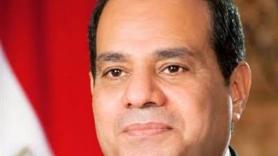 تفاصيل لقاء الرئيس السيسي مع نظيره الفنلندي اليوم