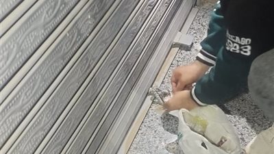 محافظ أسيوط: حملات صارمة تسفر عن غلق وتشميع 34 محلًا خالفوا قرارات الإغلاق