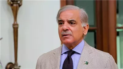 رئيس وزراء باكستان: نواصل جهودنا لخفض التوترات في الشرق الأوسط