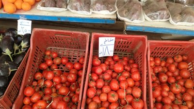 التموين تطرح الطماطم بسعر 18 جنيها للكيلو في المنافذ اليوم