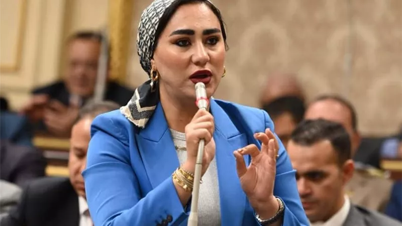 برلمانية تشيد بكلمة الرئيس السيسي في مؤتمر إيجبس:  حملت رسائل وإشارات هامة 
