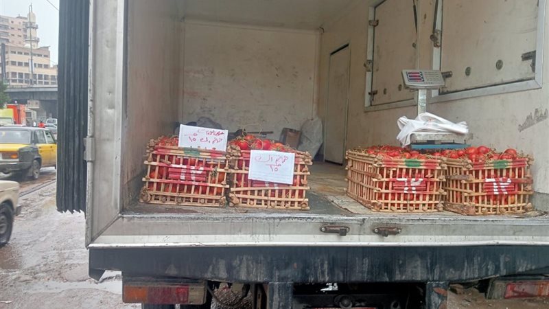 تموين الإسكندرية