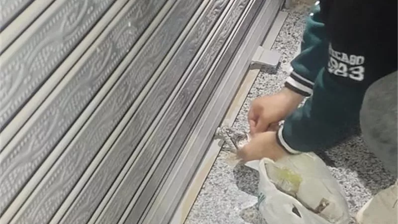 محافظ أسيوط: حملات صارمة تسفر عن غلق وتشميع 34 محلًا خالفوا قرارات الإغلاق