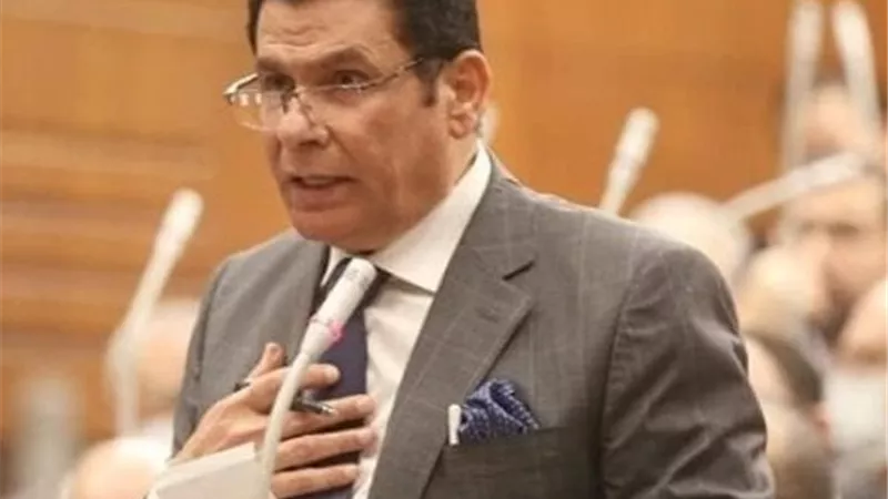 تحرك برلماني لربط الخدمات الحكومية بسداد النفقة: 