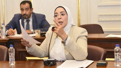 بعد غرق 3 شباب..عضوة بالشيوخ تطالب بسرعة إنشاء الكوبري العلوي بنجع حمادي| خاص