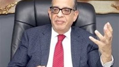 برلمانية الوفد: تحركات مصر لوقف الحرب بين إيران وأمريكا تؤكد ثقلها السياسي