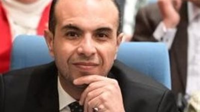 برلماني: مفاتيح الاستقرار في المنطقة مرتبطة بالدور المصري المحوري 