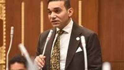 عضو بالشيوخ: مصر عنصر حاسم في معادلة الأمن القومي 