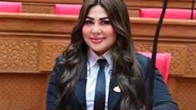 برلمانية: الدبلوماسية المصرية تحظى بثقة واسعة لدى مختلف الأطراف