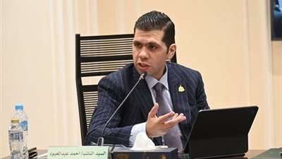 برلماني ينتقد قانون الإدارة المحلية: الحكومة فاقت بعد 10 سنين