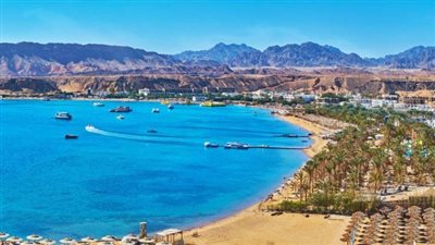 مصر تخطف الأنظار عالميًا.. ومسؤول دولي يكشف كلمة السر
