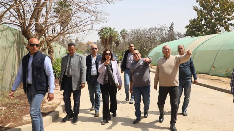 وزيرة التنمية المحلية