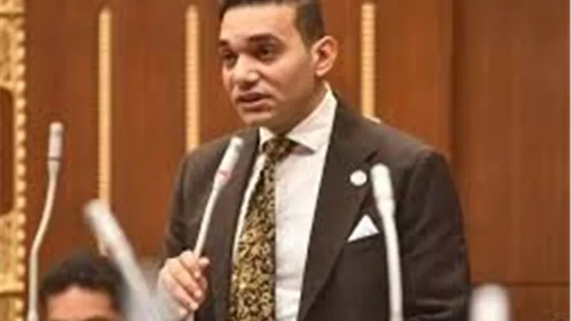 عضو بالشيوخ: مصر عنصر حاسم في معادلة الأمن القومي 