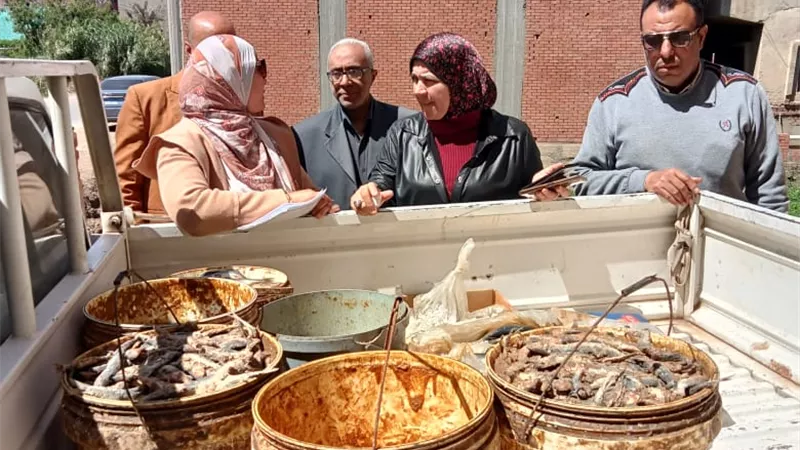 ضبط نصف طن دقيق بلدي وأسماك غير صالحة للاستهلاك الآدمى بالمنوفية