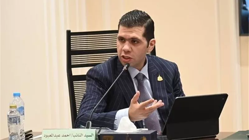 برلماني ينتقد قانون الإدارة المحلية: الحكومة فاقت بعد 10 سنين