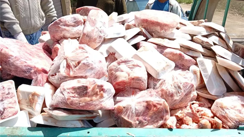 ضبط 3 طن أسماك مملحة غير صالحة للإستهلاك الآدمي بالمنوفية