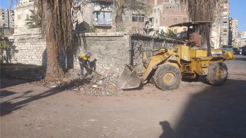 آثار الإسكندرية: تطهير محيط صهريج بن بطوطة بالتنسيق مع نهضة مصر