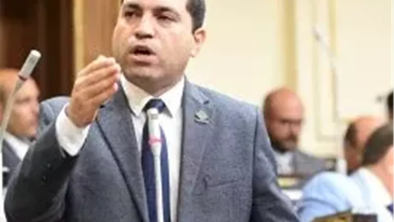 النائب عمرو درويش،