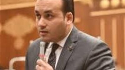 برلماني: الأسرة أساس المجتمع والإصلاحات التشريعية  يجب أن تحافظ على مصالح الطفل 