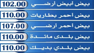 استقرار أسعار البيض في أعياد الربيع.. اعرف التفاصيل